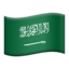 🇸🇦